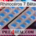Rhinocéros 7 Bêta 23